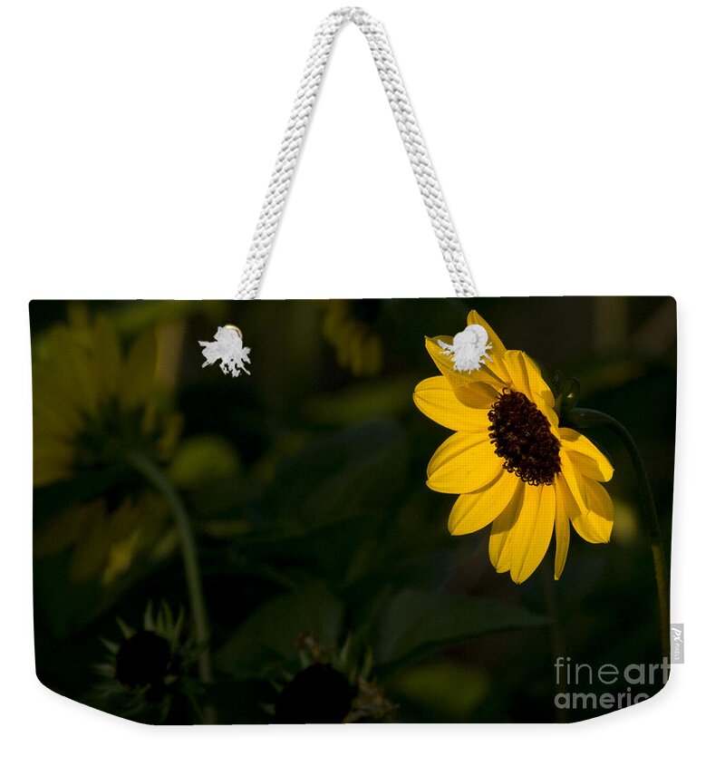 Sunflower Weekender Tote Bag featuring the photograph Sunflower by Meg Rousher