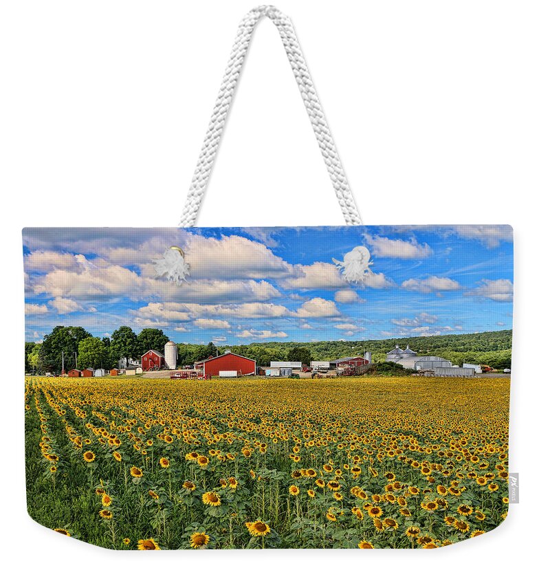 Yellow Weekender Tote Bag featuring the photograph Sunflower Nirvana 17 by Allen Beatty