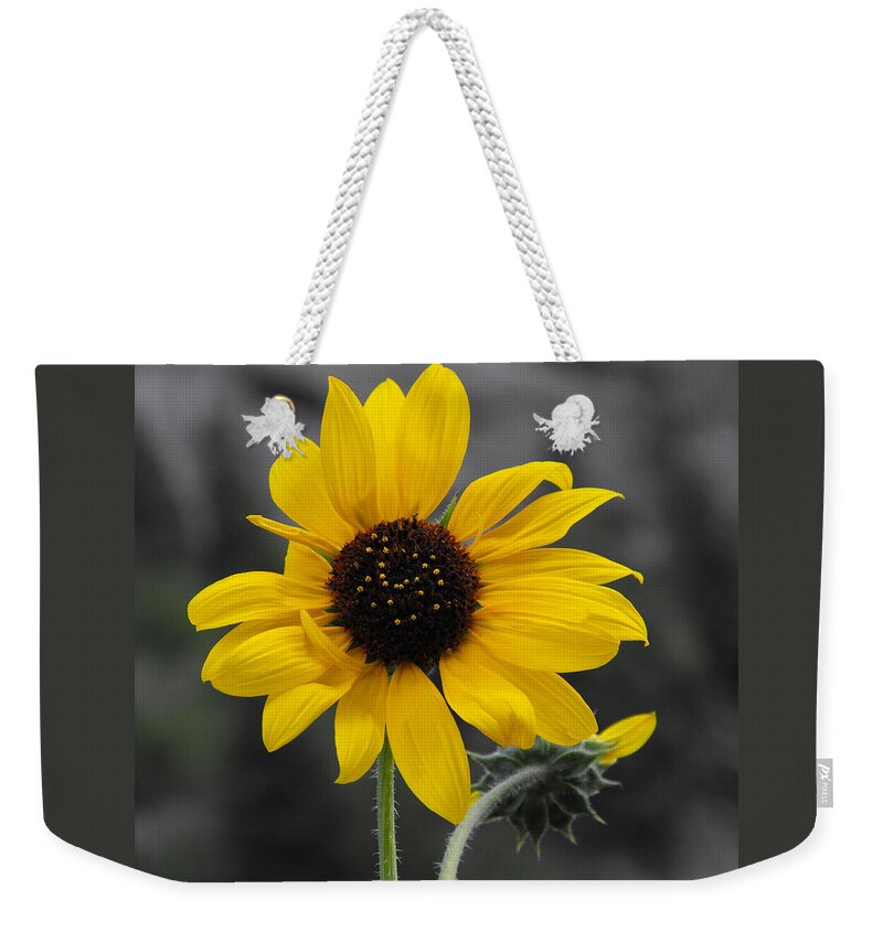Sunflower Weekender Tote Bag featuring the photograph Sunflower on gray by Rebecca Margraf