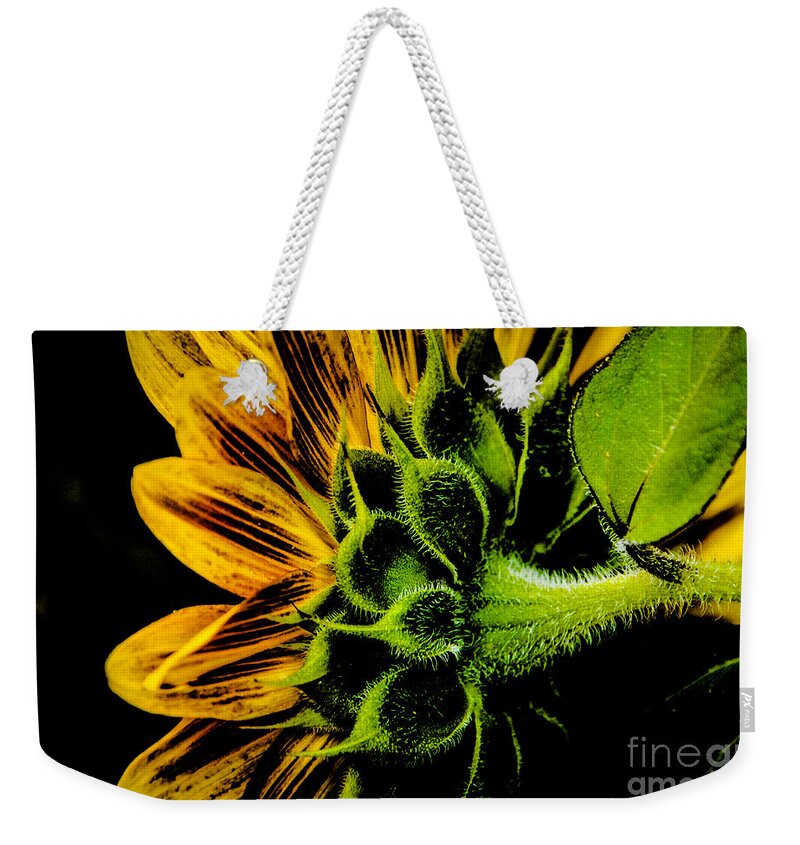 Sunflower Weekender Tote Bag featuring the photograph Sunflower Sun Macro by Grace Grogan