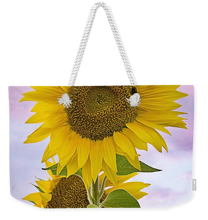 Sunflower Weekender Tote Bag featuring the photograph Sunflower with colorful evening sky by Jatin Thakkar