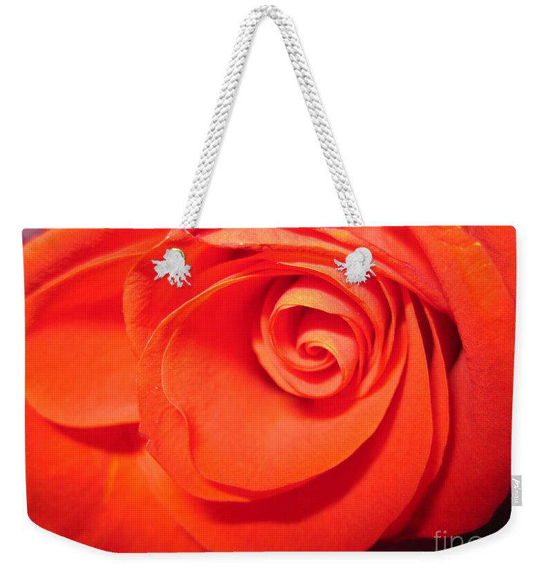 Floral Weekender Tote Bag featuring the photograph Sunkissed Orange Rose 9 by Tara Shalton