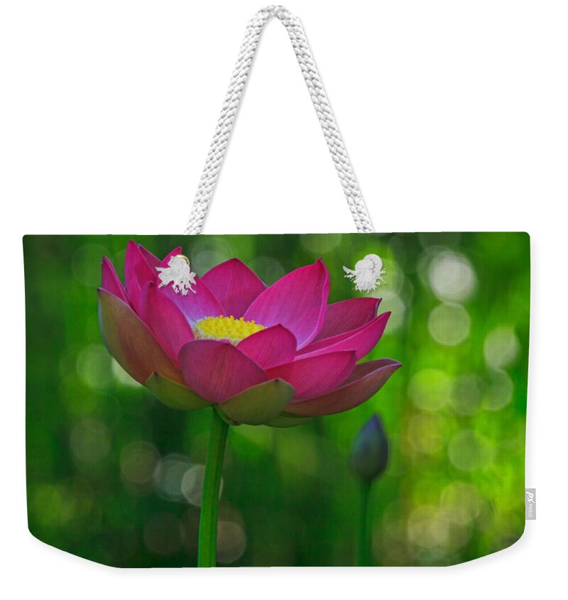 California Weekender Tote Bag featuring the photograph Sunlight on Lotus Flower by Beth Sargent