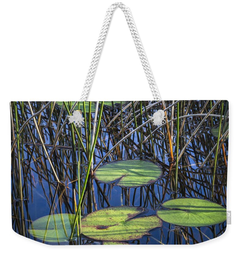 Clouds Weekender Tote Bag featuring the photograph Sunlight on the LilyPads by Debra and Dave Vanderlaan