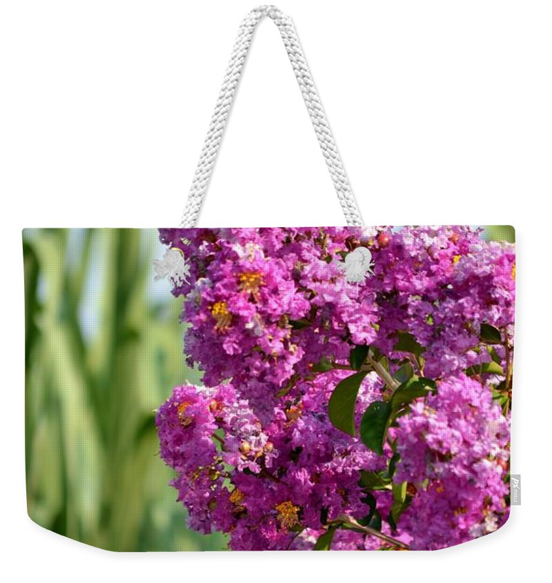 Sunlit Weekender Tote Bag featuring the photograph Sunlit Purple Crepe Mertle by Maria Urso