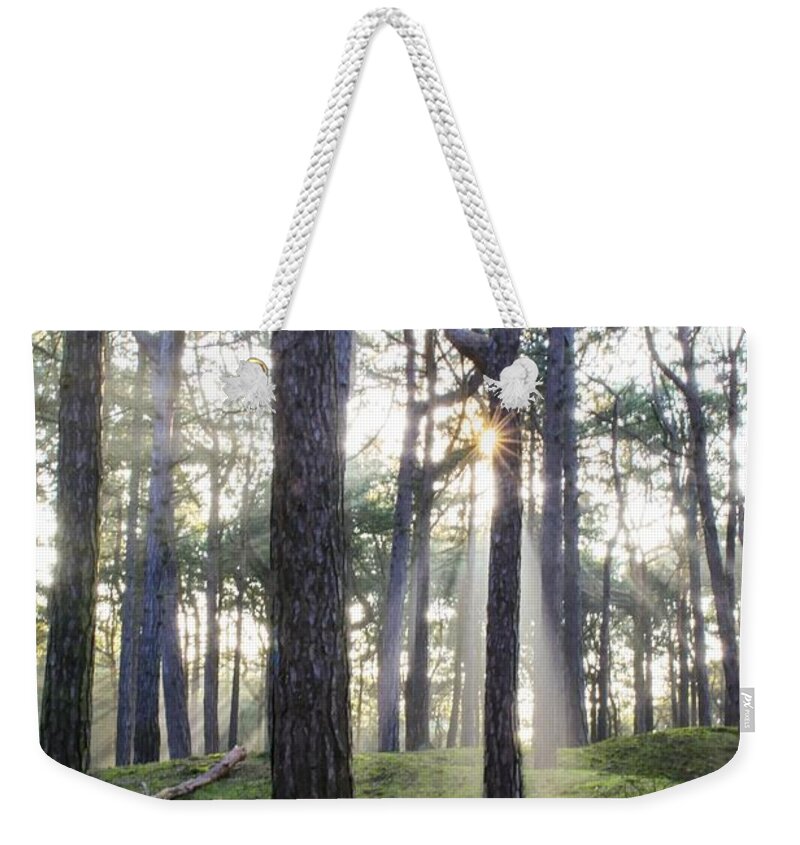 Trees Weekender Tote Bag featuring the photograph Sunlit Trees by Spikey Mouse Photography