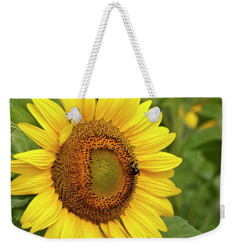 Bee Weekender Tote Bag featuring the photograph Sunny Bee by Christi Kraft