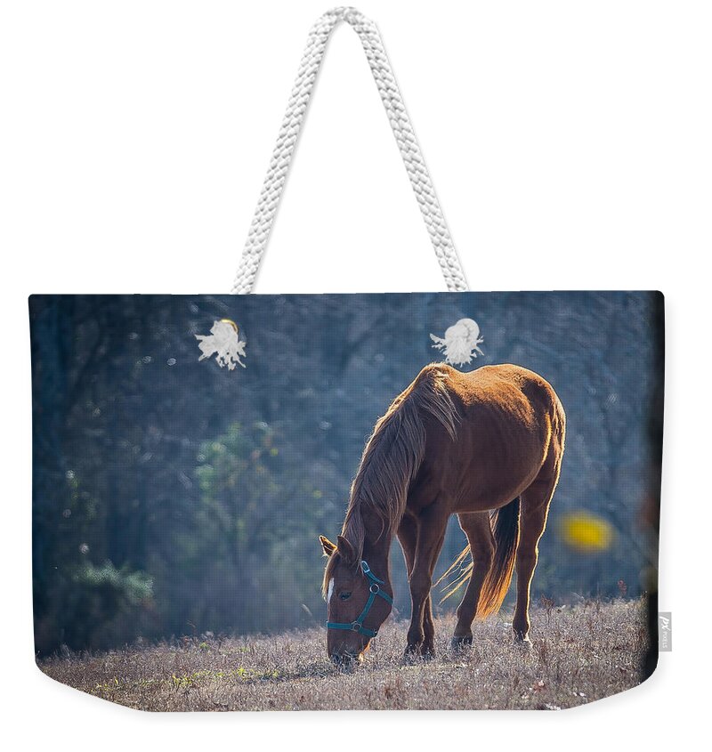 Horse Weekender Tote Bag featuring the photograph Sunny by David Downs