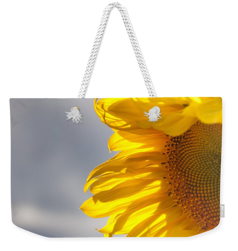 Sunflower Weekender Tote Bag featuring the photograph Sunny Sunflower by Cheryl Baxter