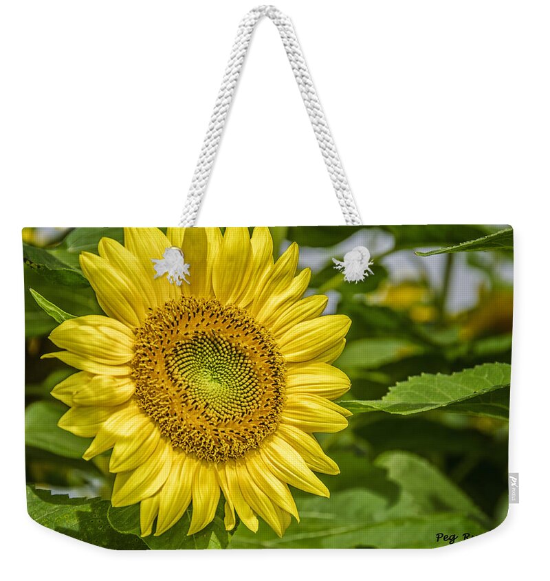 Sunflower Weekender Tote Bag featuring the photograph Sunny Sunflower by Peg Runyan