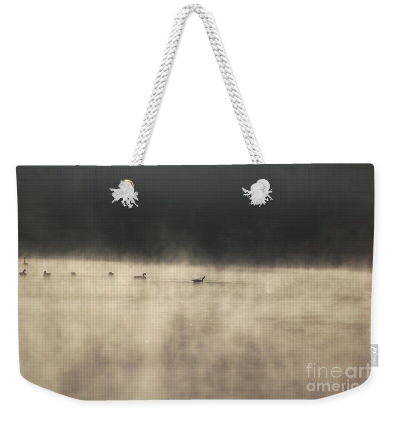 Lake Photographs Weekender Tote Bag featuring the photograph Sunrise Geese by Melissa Petrey