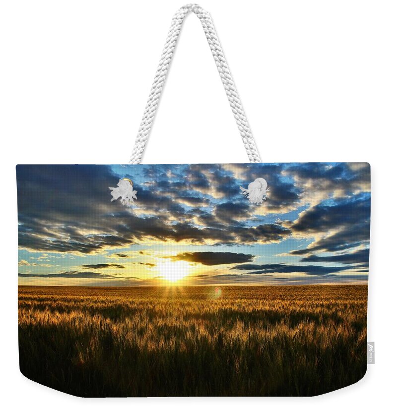 Sunrise Weekender Tote Bag featuring the photograph Sunrise on the wheat field by Lynn Hopwood