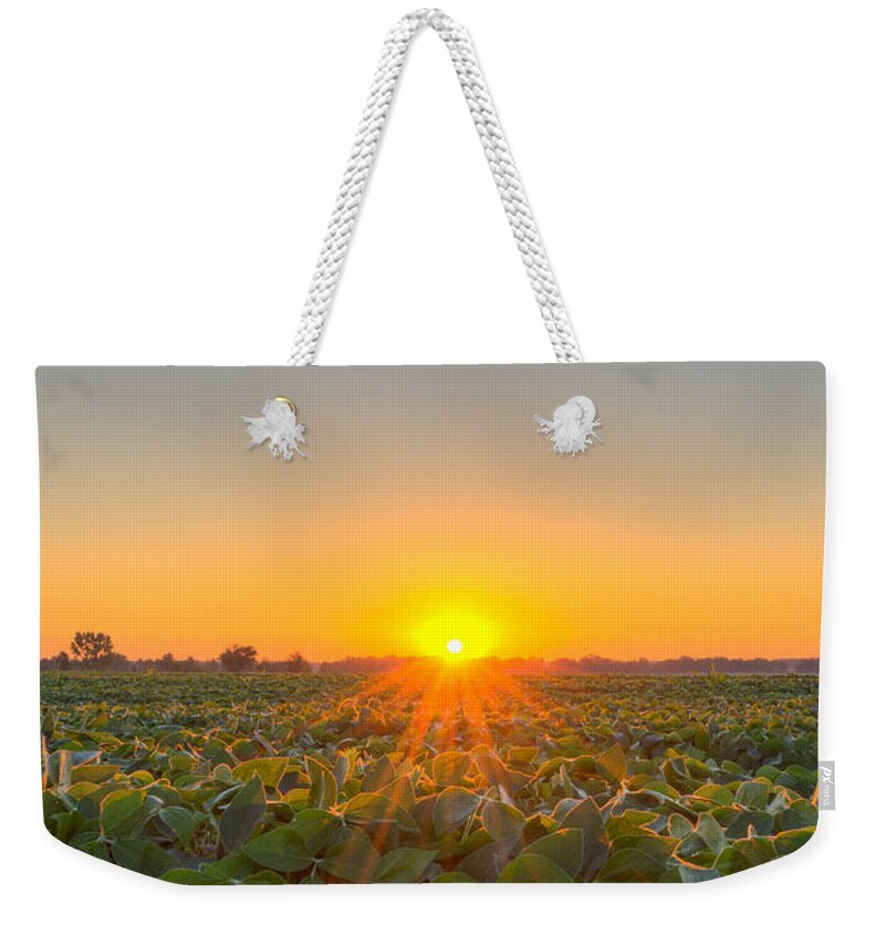 Michael Versprill Weekender Tote Bag featuring the photograph Sunrise over a field by Michael Ver Sprill