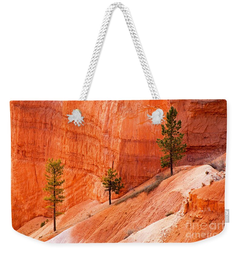 Bryce Canyon Weekender Tote Bag featuring the photograph Sunrise Point Bryce Canyon National Park by Fred Stearns