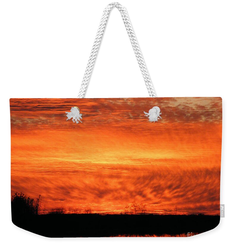 Sunset Weekender Tote Bag featuring the photograph Sunset Detail by Lizi Beard-Ward