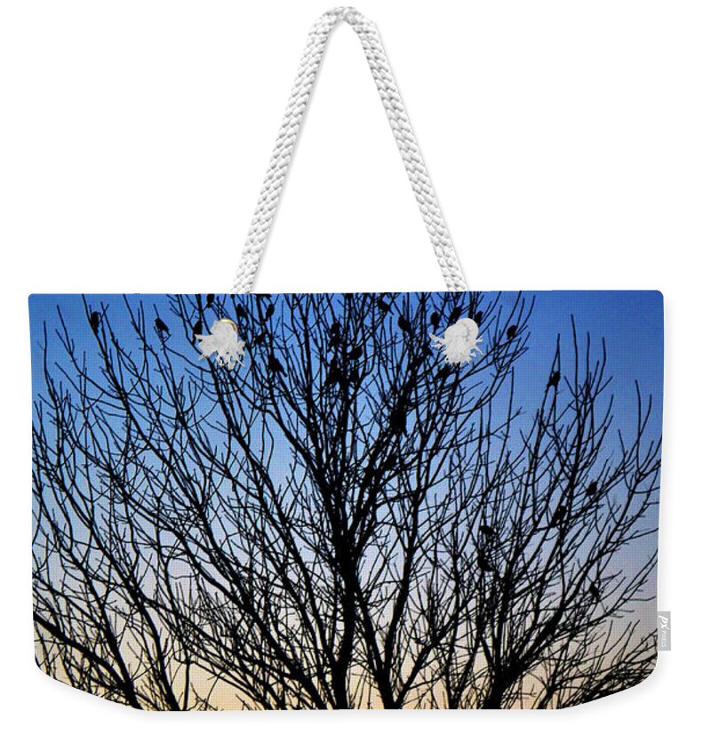 Flock Weekender Tote Bag featuring the photograph Sunset Flock by Gary Mosman