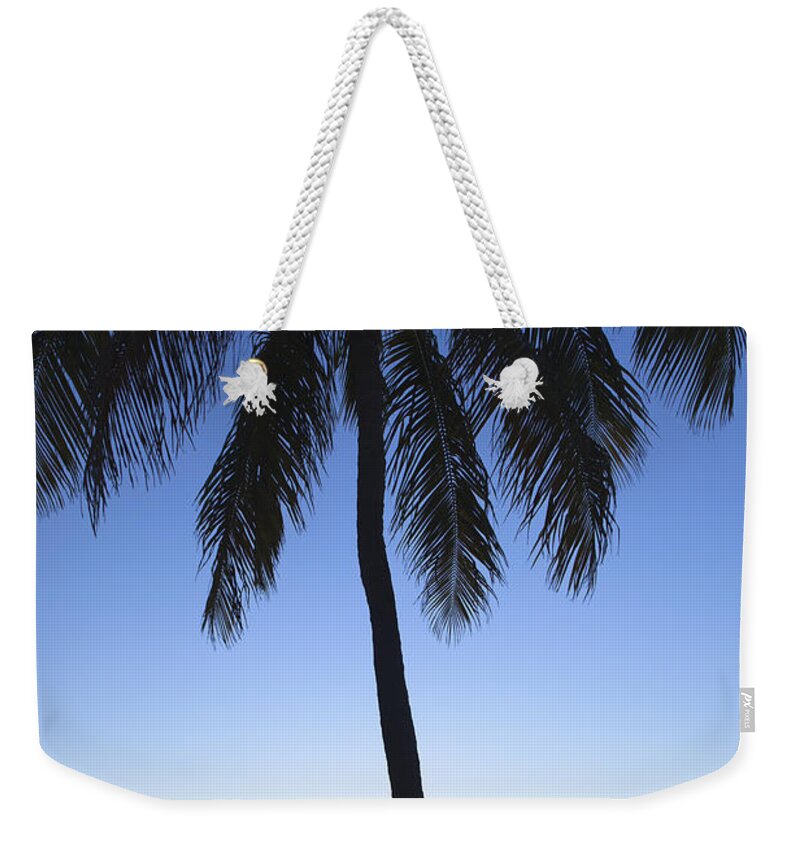 Bayshore Weekender Tote Bag featuring the photograph Sunset Palm by Raul Rodriguez