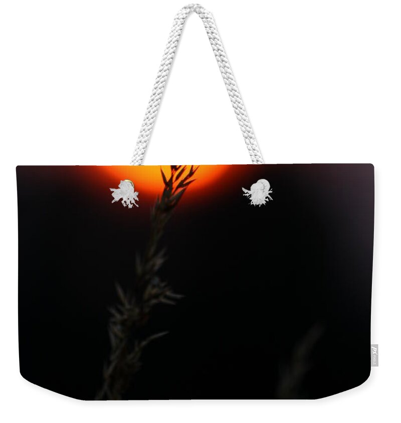 Summer Weekender Tote Bag featuring the photograph Sunset Seed Silhouette by Jeremy Hayden
