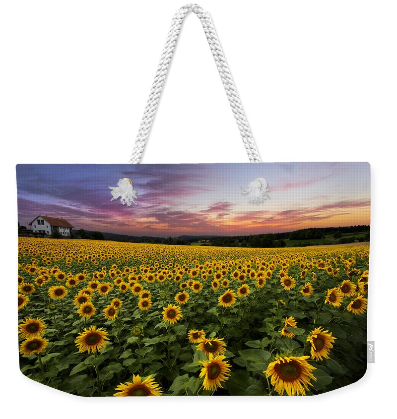 Appalachia Weekender Tote Bag featuring the photograph Sunset Sunflowers by Debra and Dave Vanderlaan