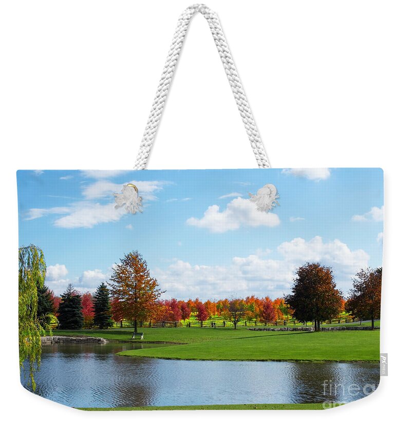 Scenery Weekender Tote Bag featuring the photograph Sunshine on a Country Estate by Barbara McMahon