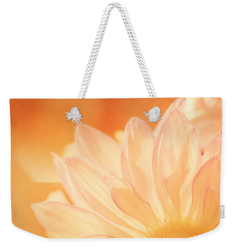 Flower Weekender Tote Bag featuring the photograph Sunshine by Scott Norris