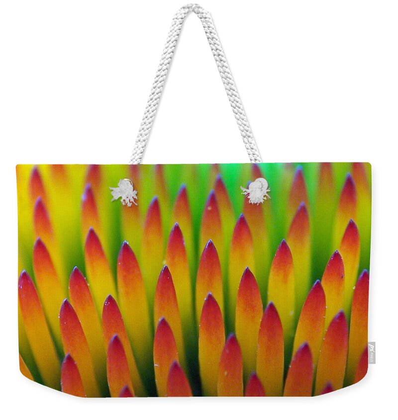 Cone Flowers Weekender Tote Bag featuring the photograph Super Macro of Echinacea Cone Flower by Ernest Echols