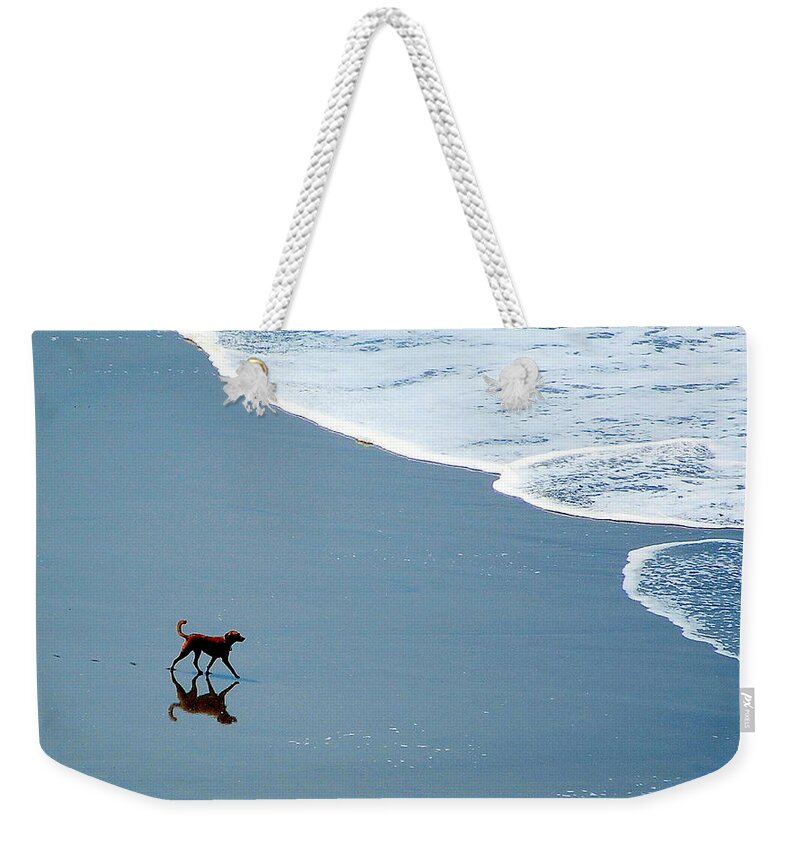 Scenic Weekender Tote Bag featuring the photograph Surfer Dog by AJ Schibig