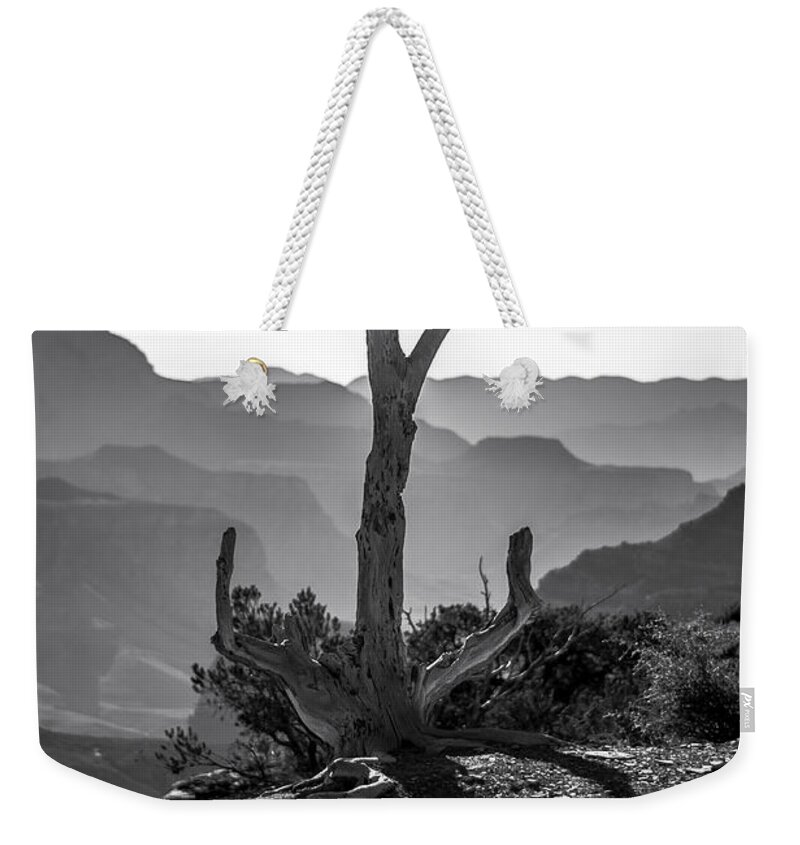 Black Weekender Tote Bag featuring the photograph Survivor by Cat Connor