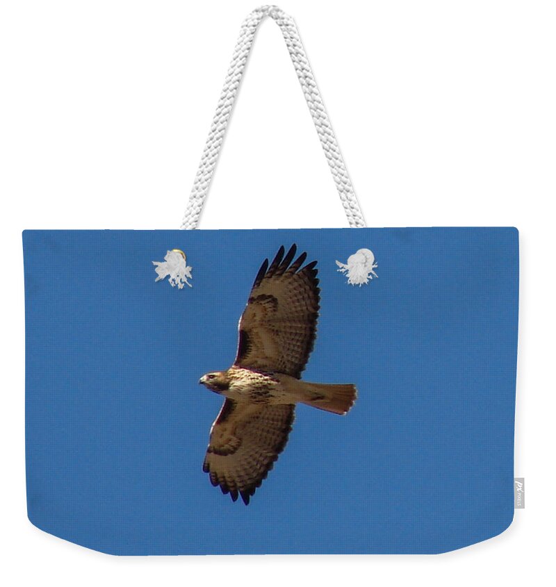 Birds Weekender Tote Bag featuring the photograph Red-tailed Hawk by Carl Moore