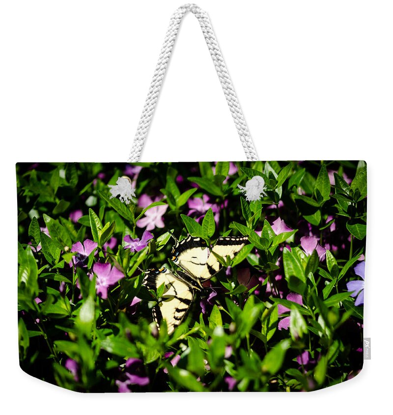 Eastern Swallowtail Butterfly Weekender Tote Bag featuring the photograph Swallowtail Butterfly by Crystal Wightman