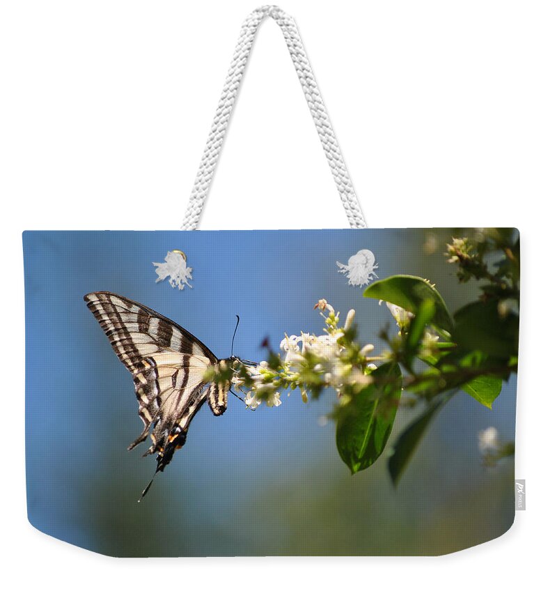 Butterfly Weekender Tote Bag featuring the photograph Swallowtail by Mark Alan Perry
