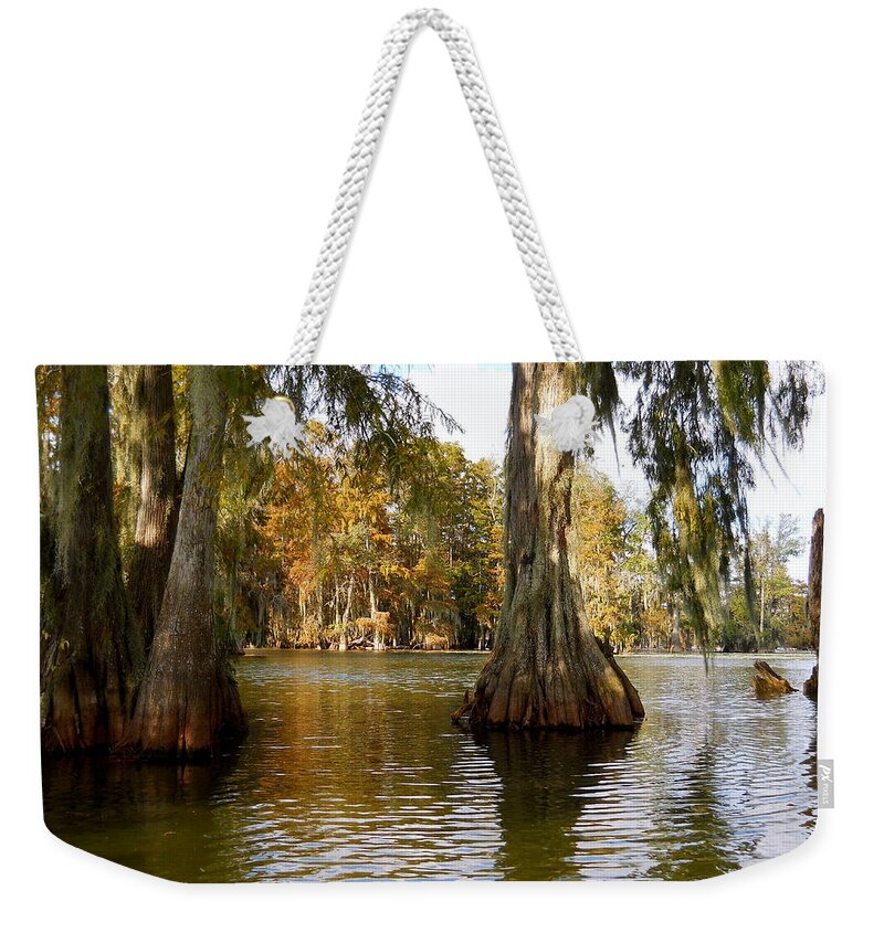 Swamp Weekender Tote Bag featuring the photograph Swamp - Cypress Trees by Beth Vincent