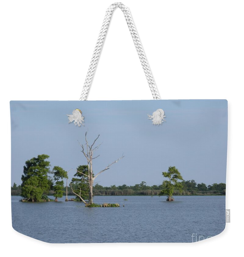 Water Lilly Weekender Tote Bag featuring the photograph Swamp Cypress Trees by Joseph Baril