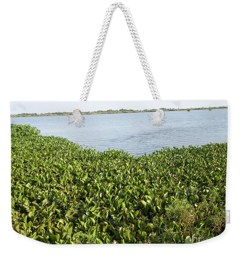 Water Lilly Weekender Tote Bag featuring the photograph Swamp Hyacinths Water Lillies by Joseph Baril