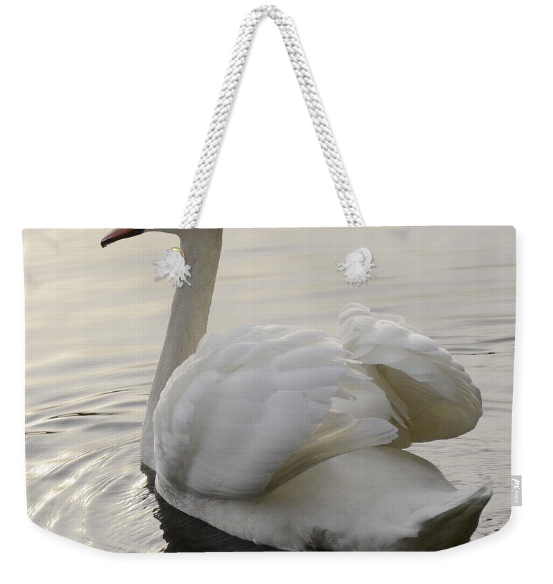 Swan Weekender Tote Bag featuring the photograph Swan Elegance by Bob Christopher