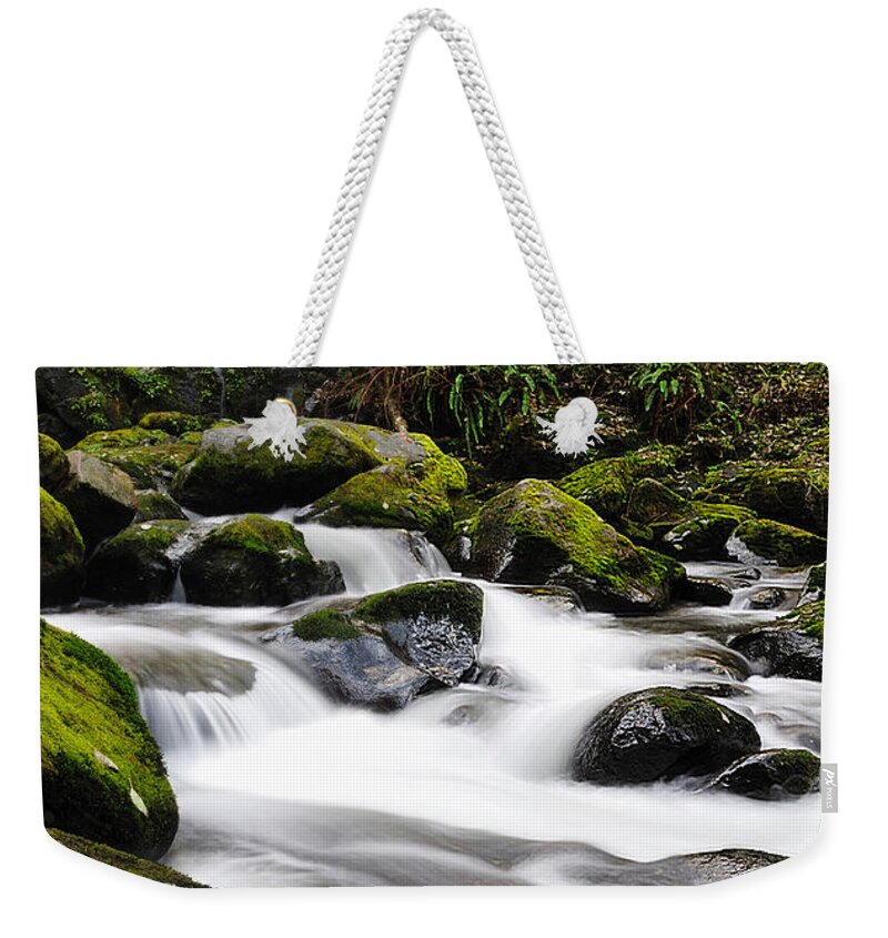Moss Weekender Tote Bag featuring the photograph Sweet Creek Oregon 3 Panorama by Vivian Christopher