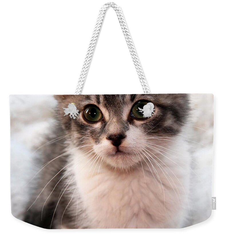 Animal Weekender Tote Bag featuring the photograph Sweet Face by Teresa Zieba