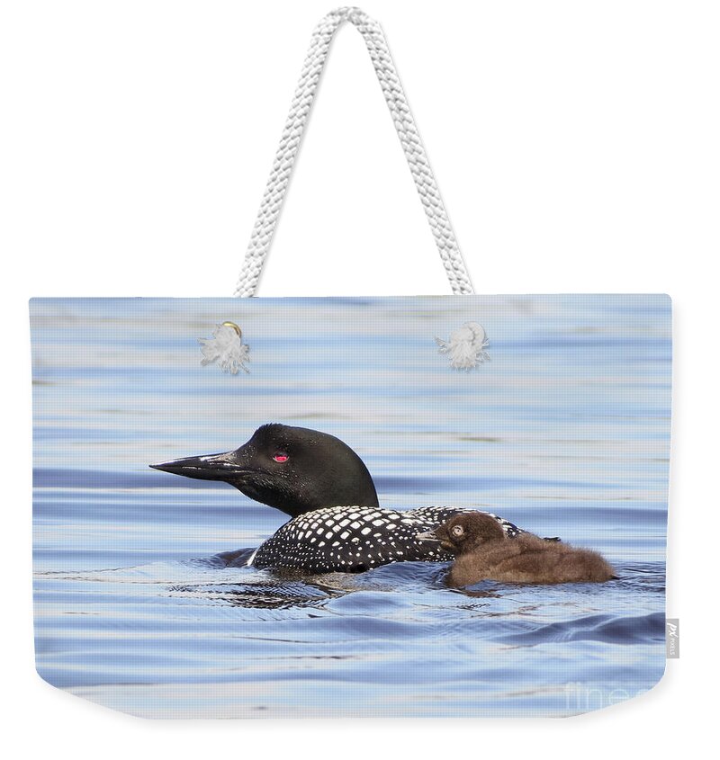Maine Weekender Tote Bag featuring the photograph Sweet Loons by Karin Pinkham
