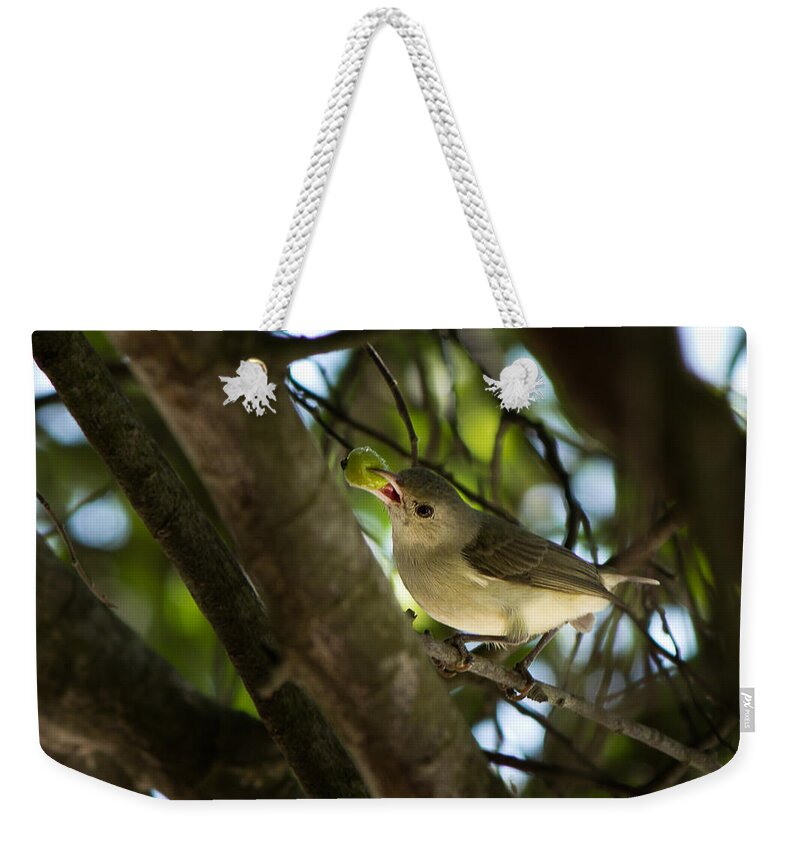 Cherry Weekender Tote Bag featuring the photograph Sweet pickings by SAURAVphoto Online Store