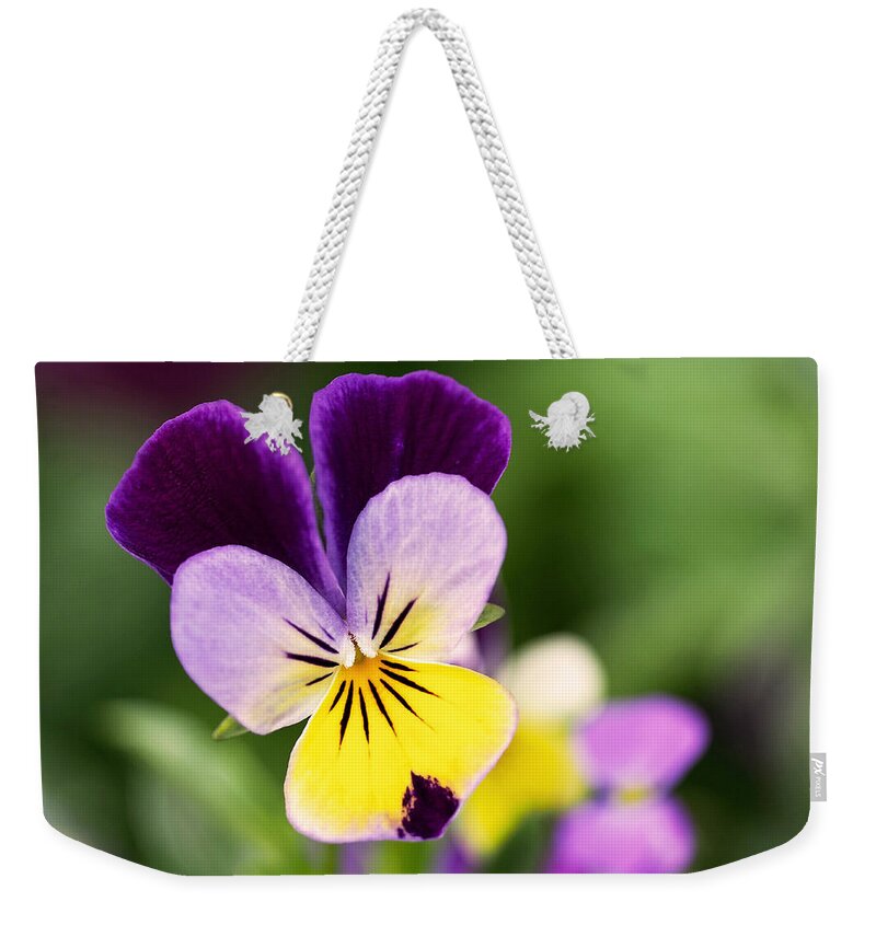 Violet Weekender Tote Bag featuring the photograph Sweet Violet by Rona Black