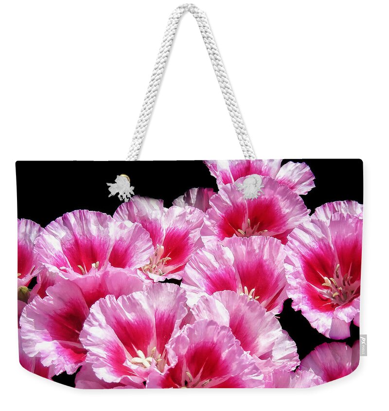 Pink Red Weekender Tote Bag featuring the photograph Sweet William Bouquet by Mary Lane