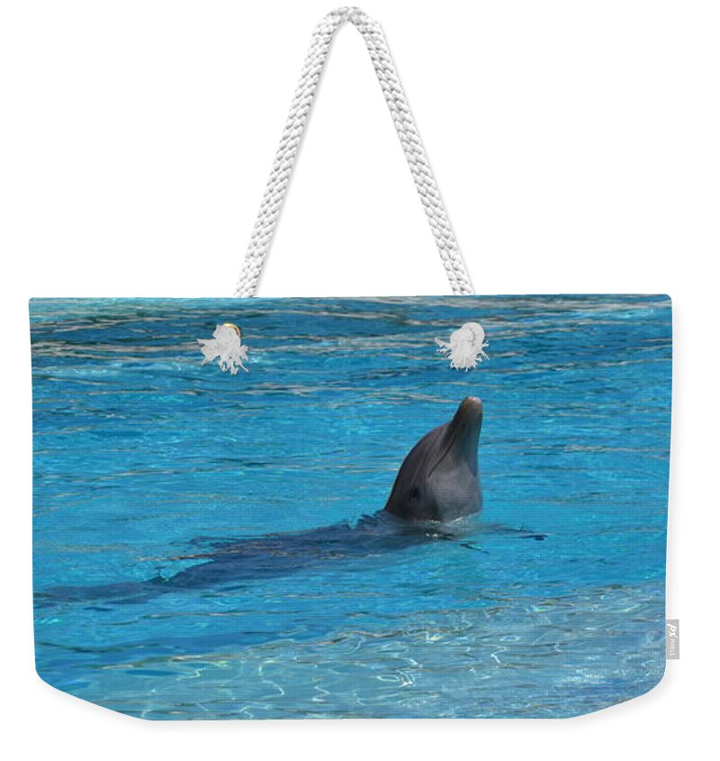 Dolphin Weekender Tote Bag featuring the photograph Swimming by Amanda Eberly