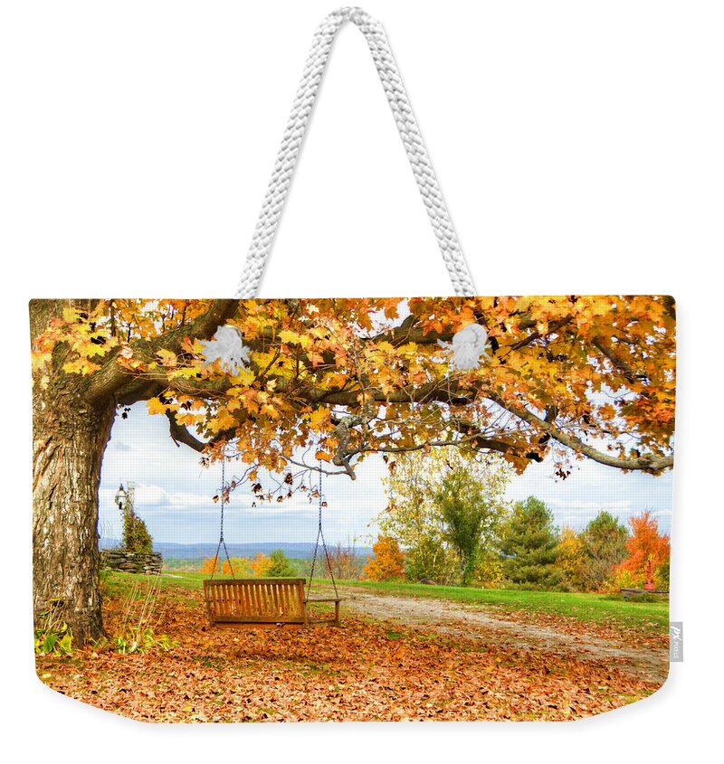 Swing Weekender Tote Bag featuring the photograph Swing Time by Donna Doherty