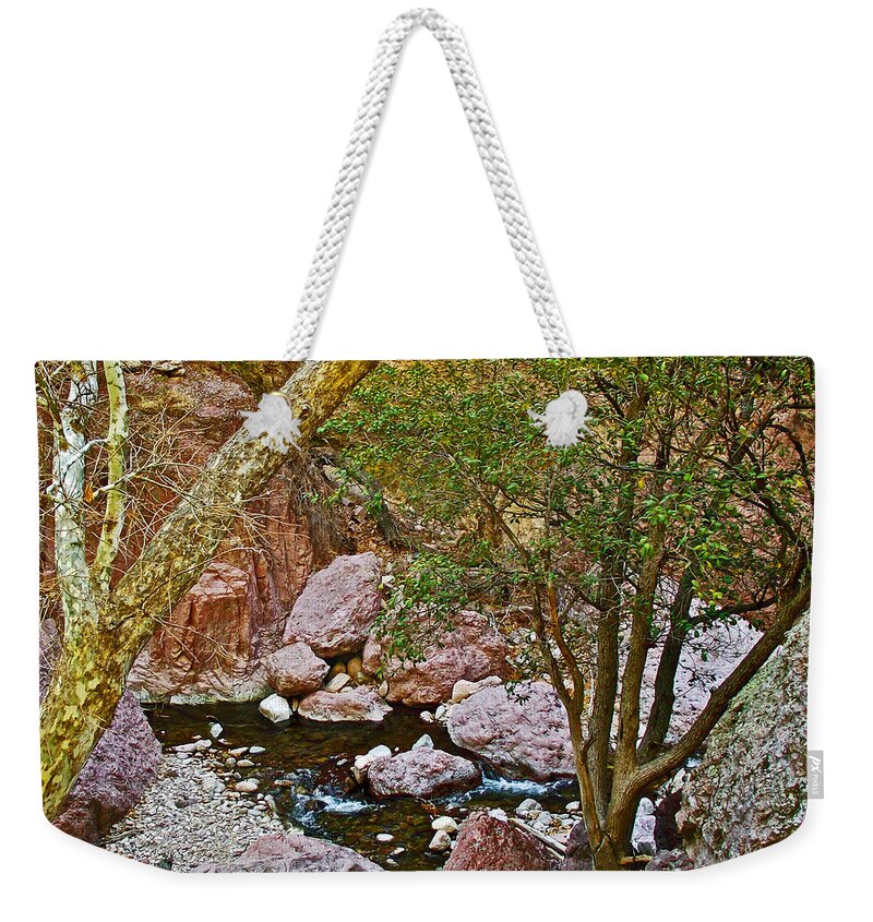 Sycamore And Cottonwood In Whitewater Catwalk National Recreation Trail Near Glenwood Weekender Tote Bag featuring the photograph Sycamore and Cottonwood in Whitewater Catwalk National Recreation Trail near Glenwood-New Mexico by Ruth Hager