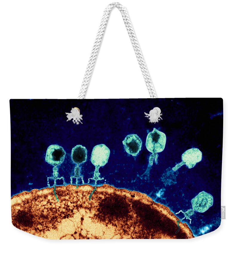 Bacteriophage Weekender Tote Bag featuring the photograph T-bacteriophages and e-coli by Eye Of Science
