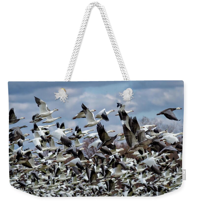 Geese Weekender Tote Bag featuring the photograph Take Off by James Barber