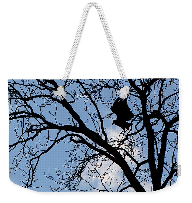 Black Vulture Weekender Tote Bag featuring the photograph Take Off by Jennifer Robin