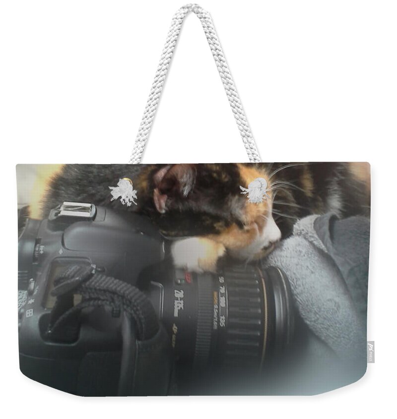 Calico Cat Weekender Tote Bag featuring the photograph Taking a Break by David Yocum