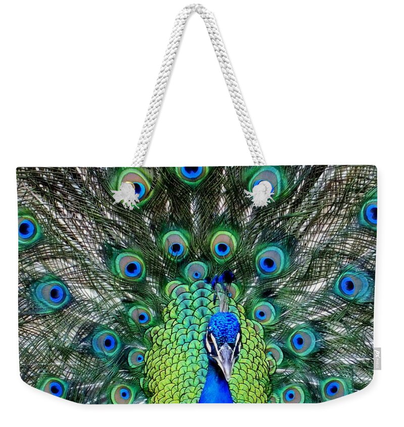 Feathers Weekender Tote Bag featuring the photograph TALK of the WALK by Karen Wiles