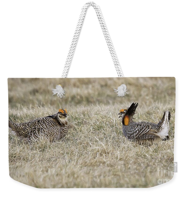 Prairie Chicken Weekender Tote Bag featuring the photograph Talking About It by Jan Killian